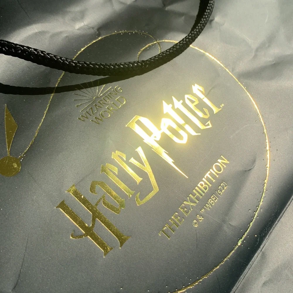 🚢 WIZARDING WORLD Harry Potter THE EXHIBITION © & ™ WBEI (s22)
